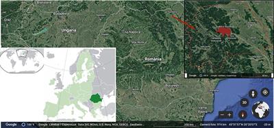 Essential and toxic elements analysis of wild boar tissues from north-eastern Romania and health risk implications